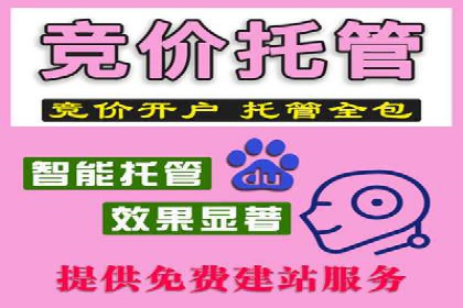 实战案例分享：SEM代运营机构助力企业业绩增长
